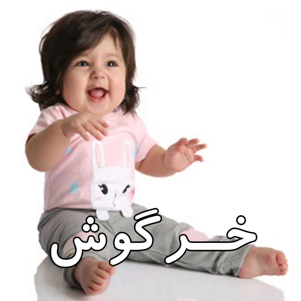 طرح خرگوش تیکه دوزی